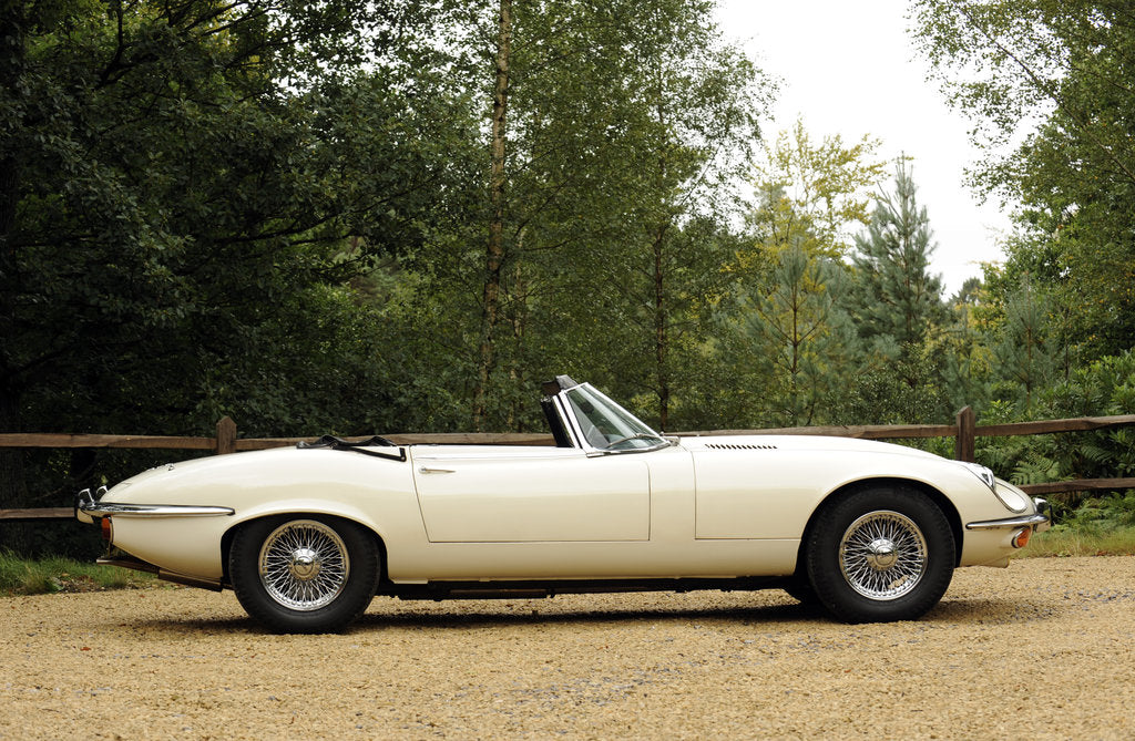 Detail of Jaguar E type 1974 by Simon Clay