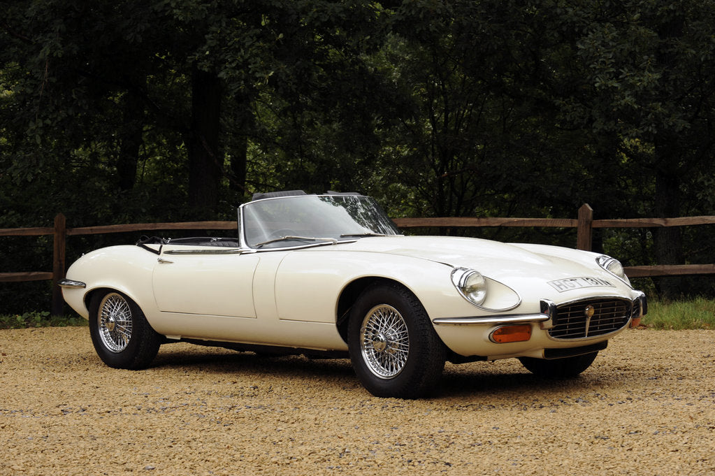 Detail of Jaguar E type 1974 by Simon Clay