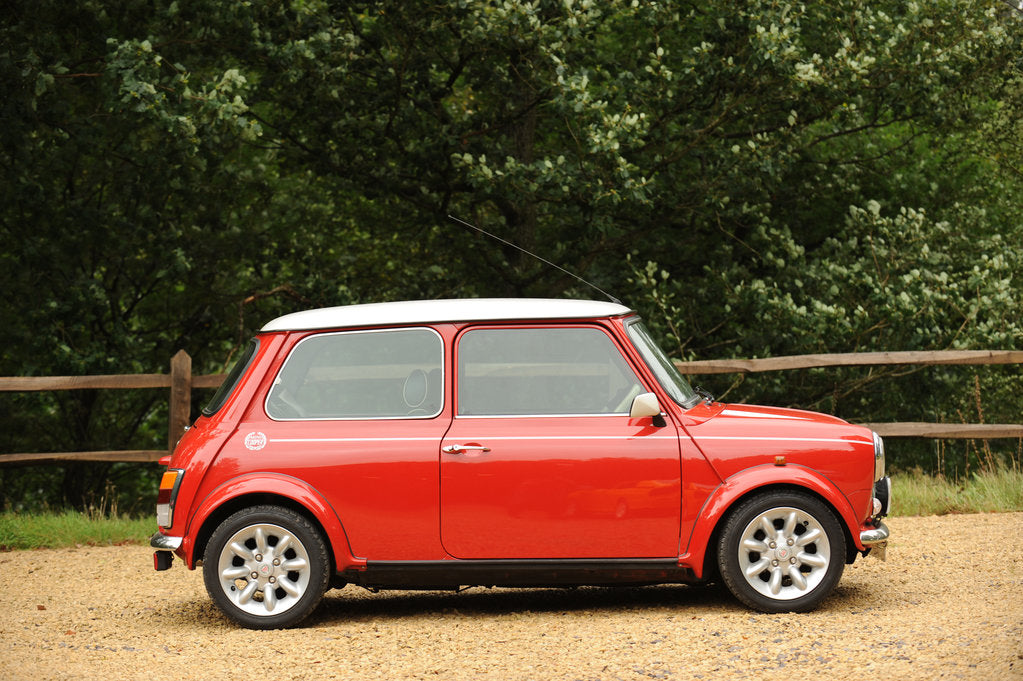 Detail of Rover Mini Cooper works 1998 by Simon Clay