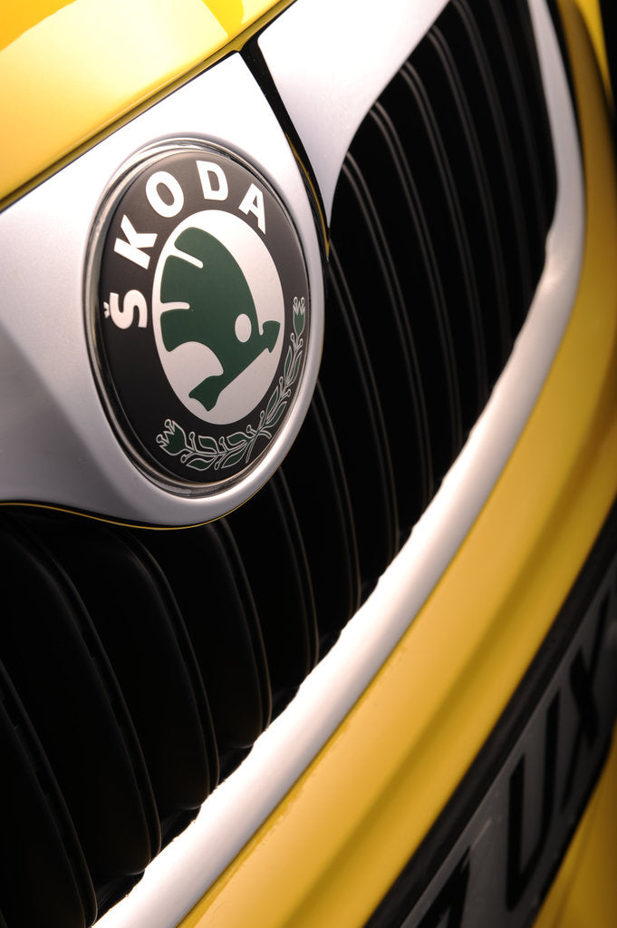Detail of SKODA Fabia 2007 by Simon Clay