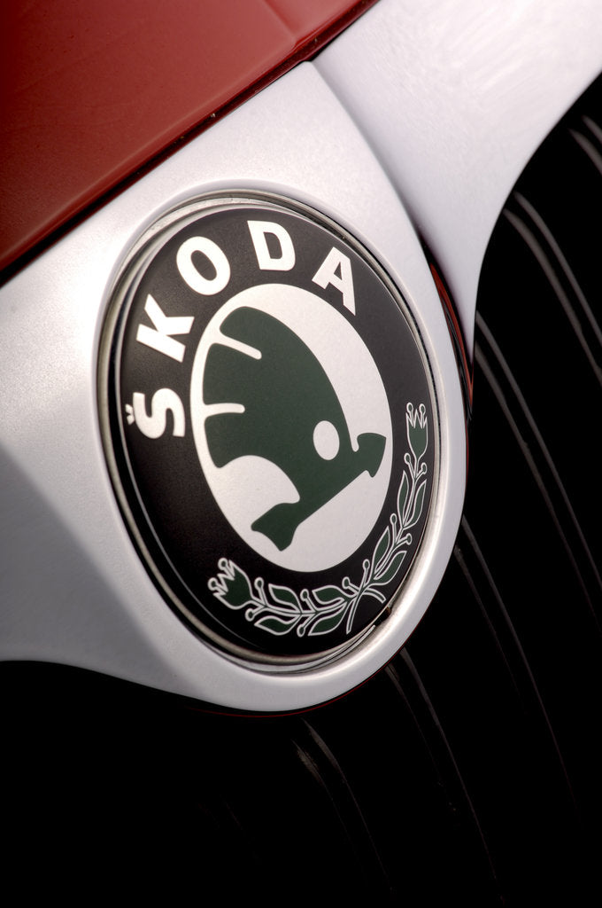Detail of Skoda Fbia Estate  HTP 1-2  2007 by Simon Clay