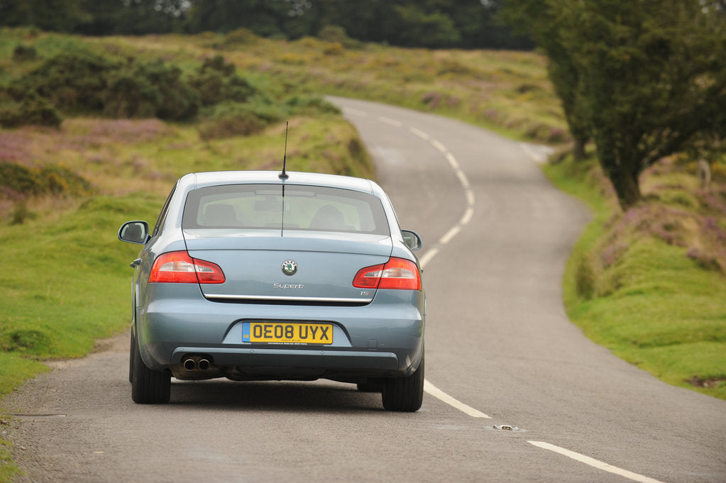 Detail of Skoda SUPERB 2008 by Simon Clay