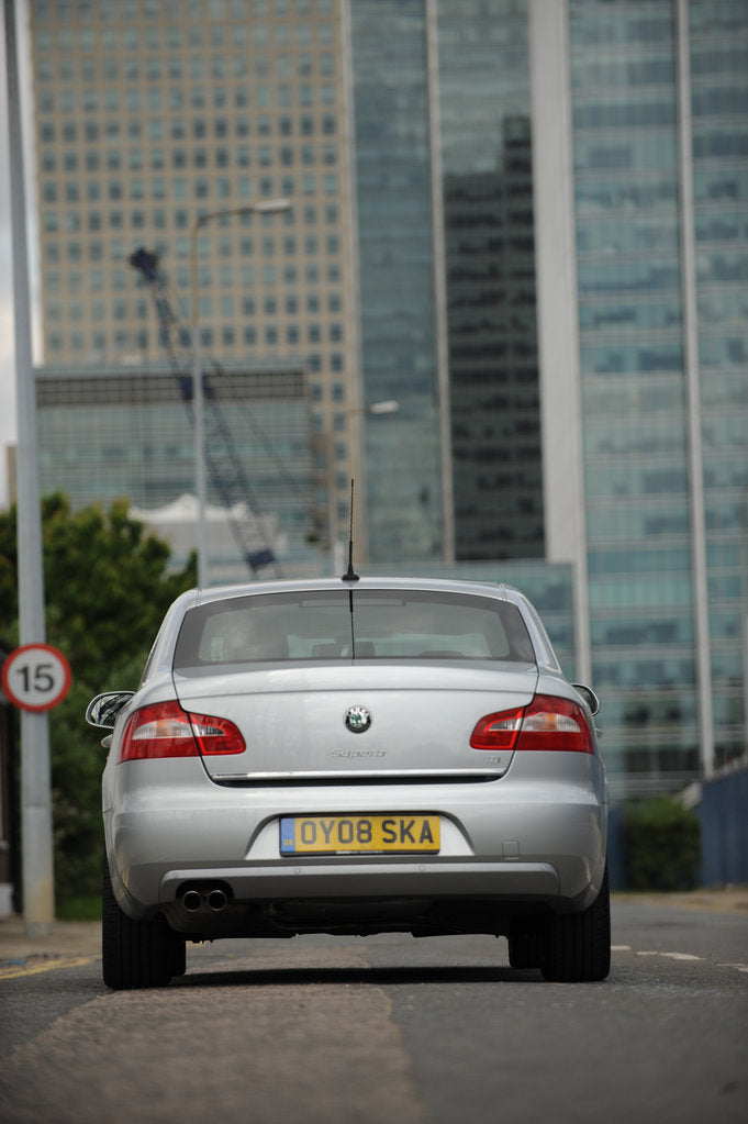 Detail of Skoda SUPERB 2008 by Simon Clay