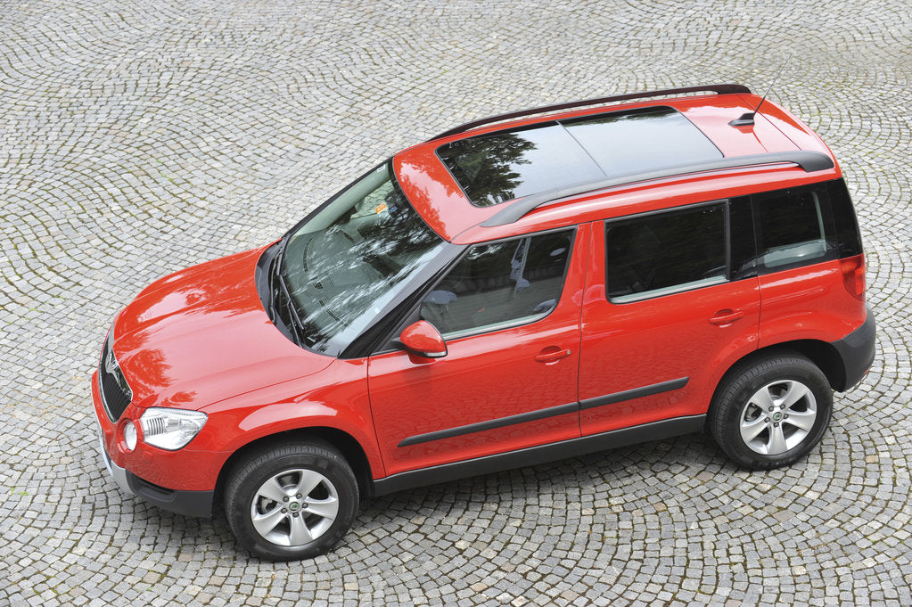 Detail of Skoda Yeti 2009 by Simon Clay