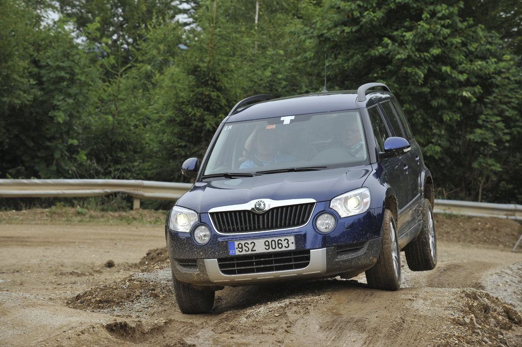 Detail of Skoda Yeti 2009 by Simon Clay