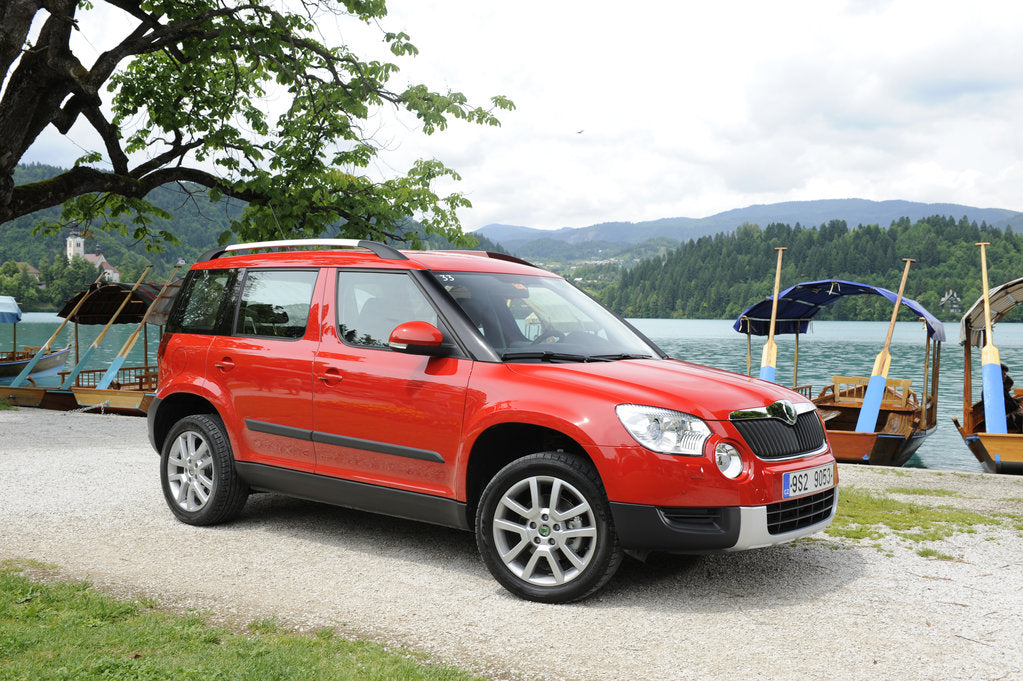 Detail of Skoda Yeti 2009 by Simon Clay