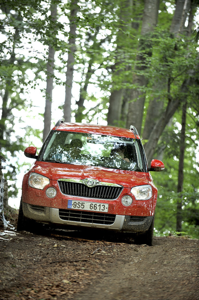 Detail of Skoda Yeti 2009 by Simon Clay
