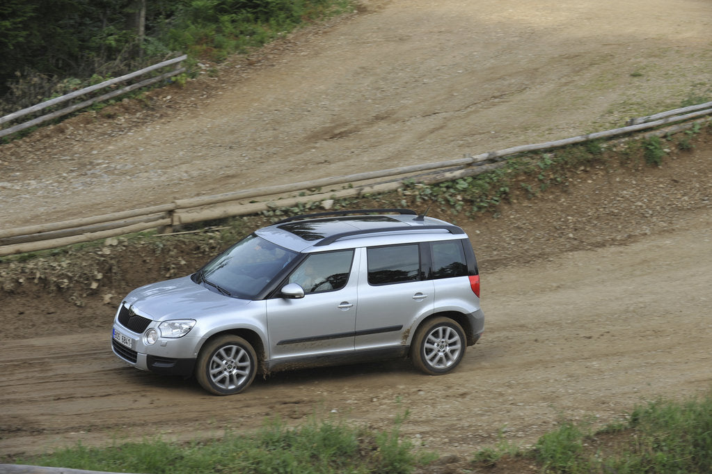 Detail of Skoda Yeti 2009 by Simon Clay