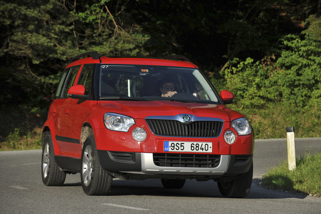 Detail of Skoda Yeti 2009 by Simon Clay