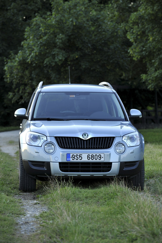 Detail of Skoda Yeti 2009 by Simon Clay