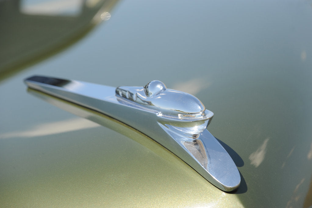 Detail of Tucker 1948 by Simon Clay