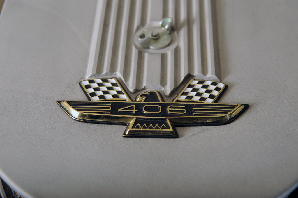 Detail of Ford Galaxie 500 race car 1962 by Simon Clay