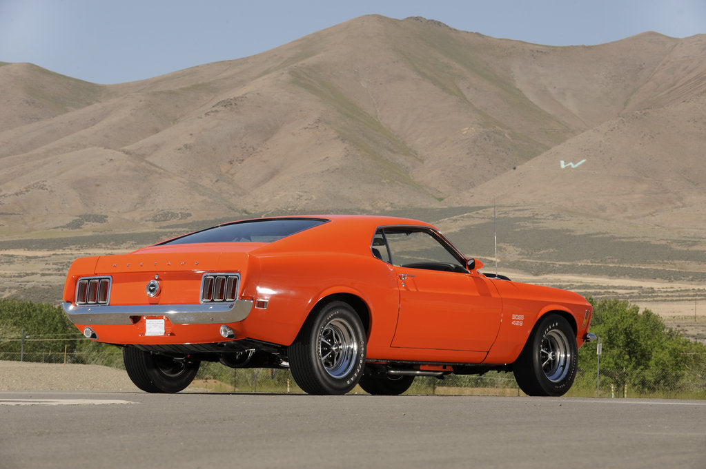 Detail of Ford Mustang Boss 429 1970 by Simon Clay