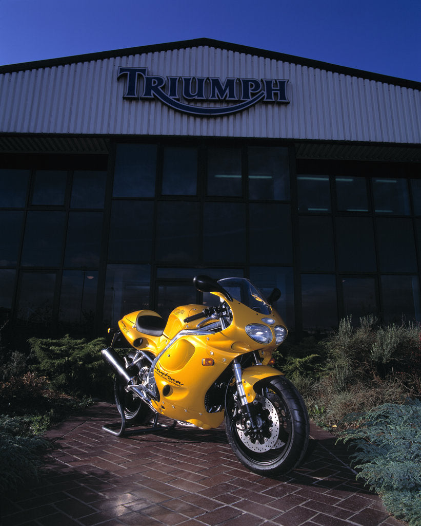 1996 Triumph Daytona T595 posters prints by Unknown