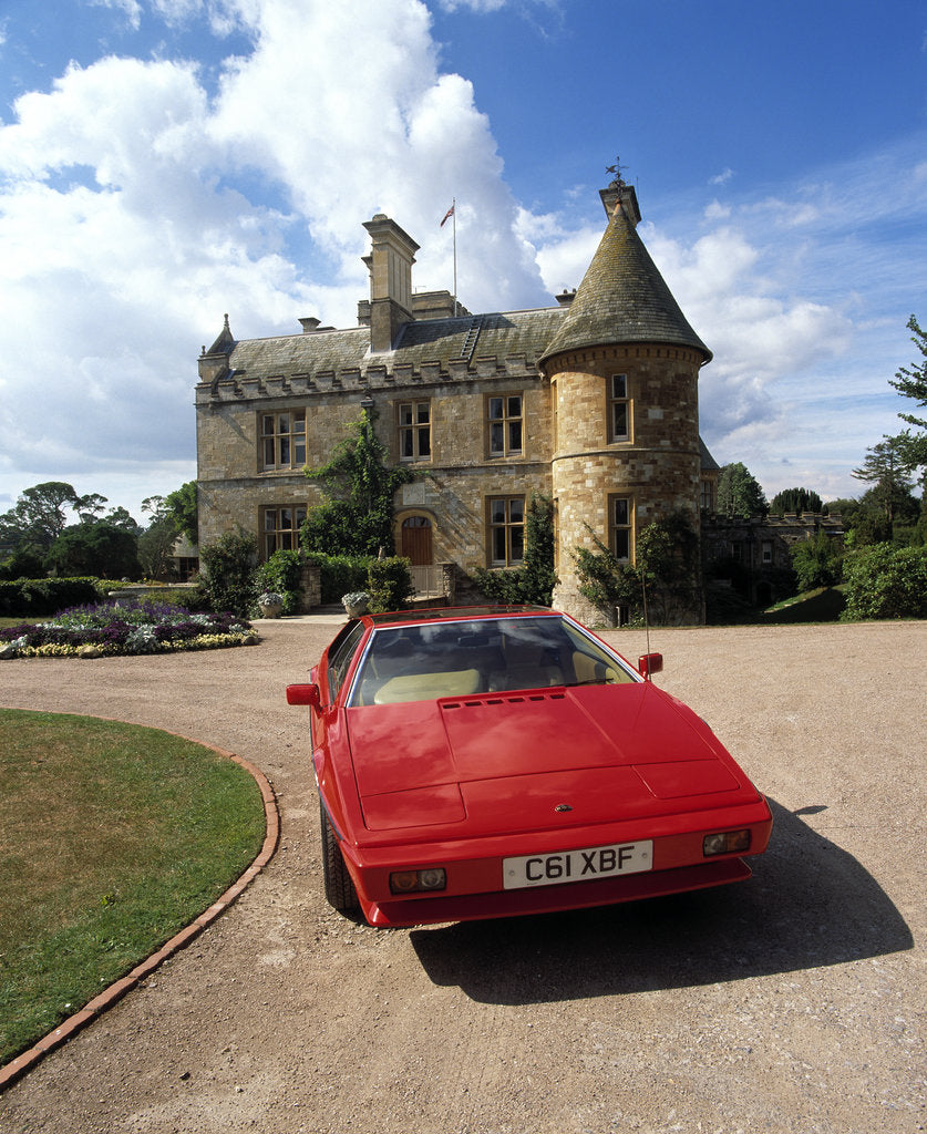 Detail of 1985 Lotus Esprit by Unknown