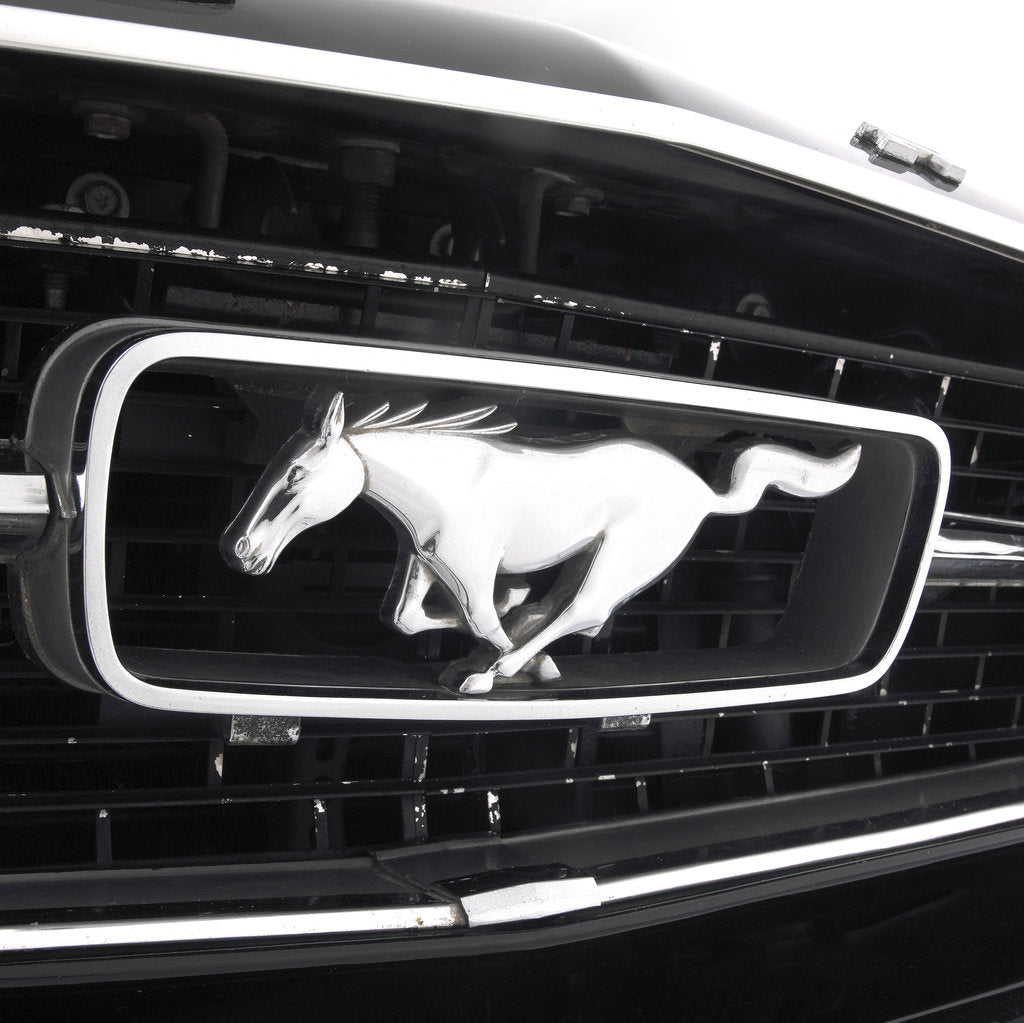 Detail of 1966 Ford Mustang 289 GT by Unknown