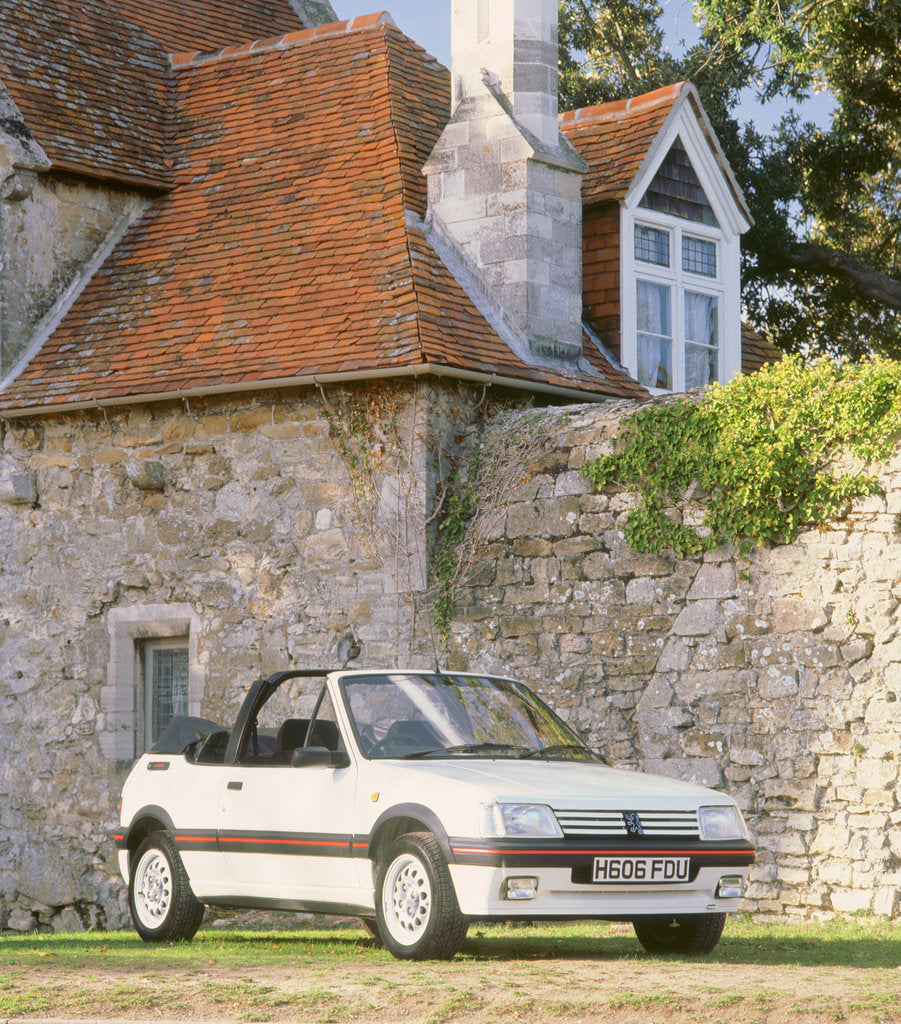 Detail of 1990 Peugeout 205 Cti by Unknown