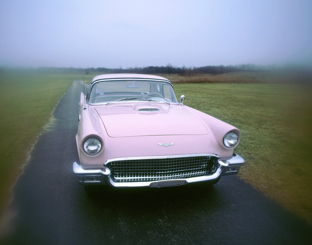 Detail of 1957 Ford Thunderbird by Unknown