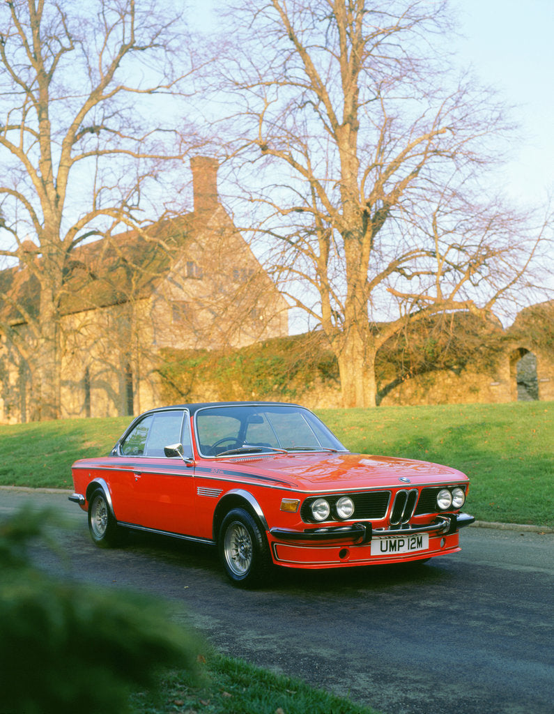 Detail of 1973 BMW 3.0 csl by Unknown