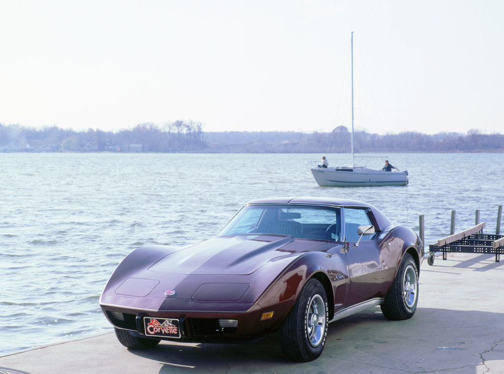 Detail of 1976 Chevrolet Corvette by Unknown