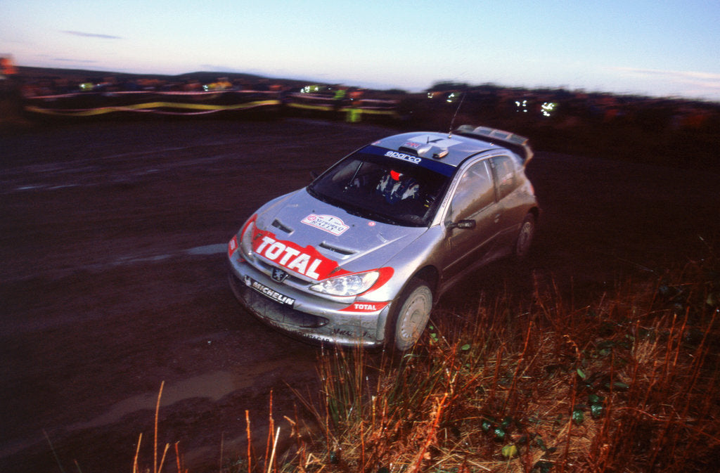 Detail of 2002 Peugeot 206 WRC, Richard Burns, Network Q Rally by Unknown