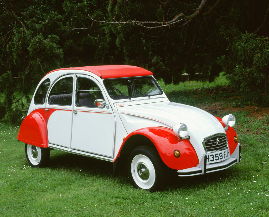 Detail of 1990 Citroen 2CV by Unknown