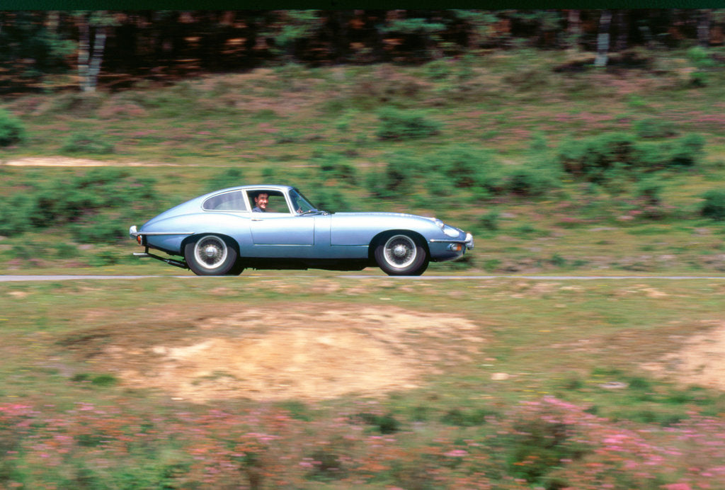 Detail of 1965 Jaguar E type with smiling driver by Unknown