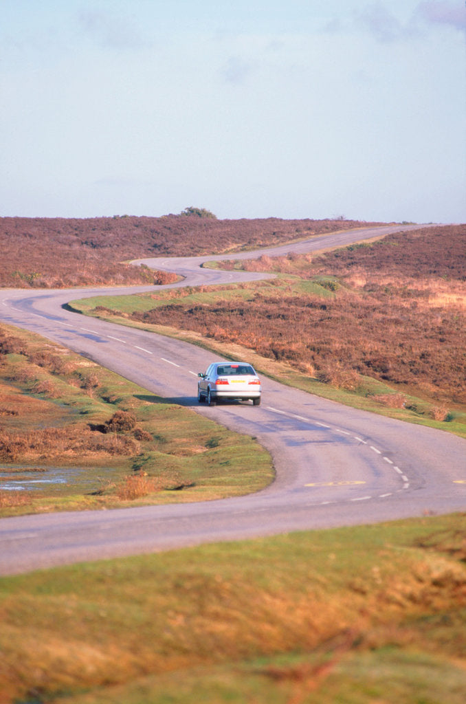 Detail of 1998 Saab 95 Turbo by Unknown