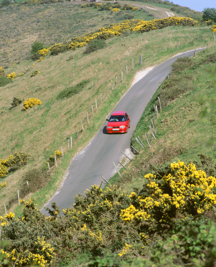 Detail of 1996 Suzuki Baleno GS Sport on winding country lane,Dorset by Unknown
