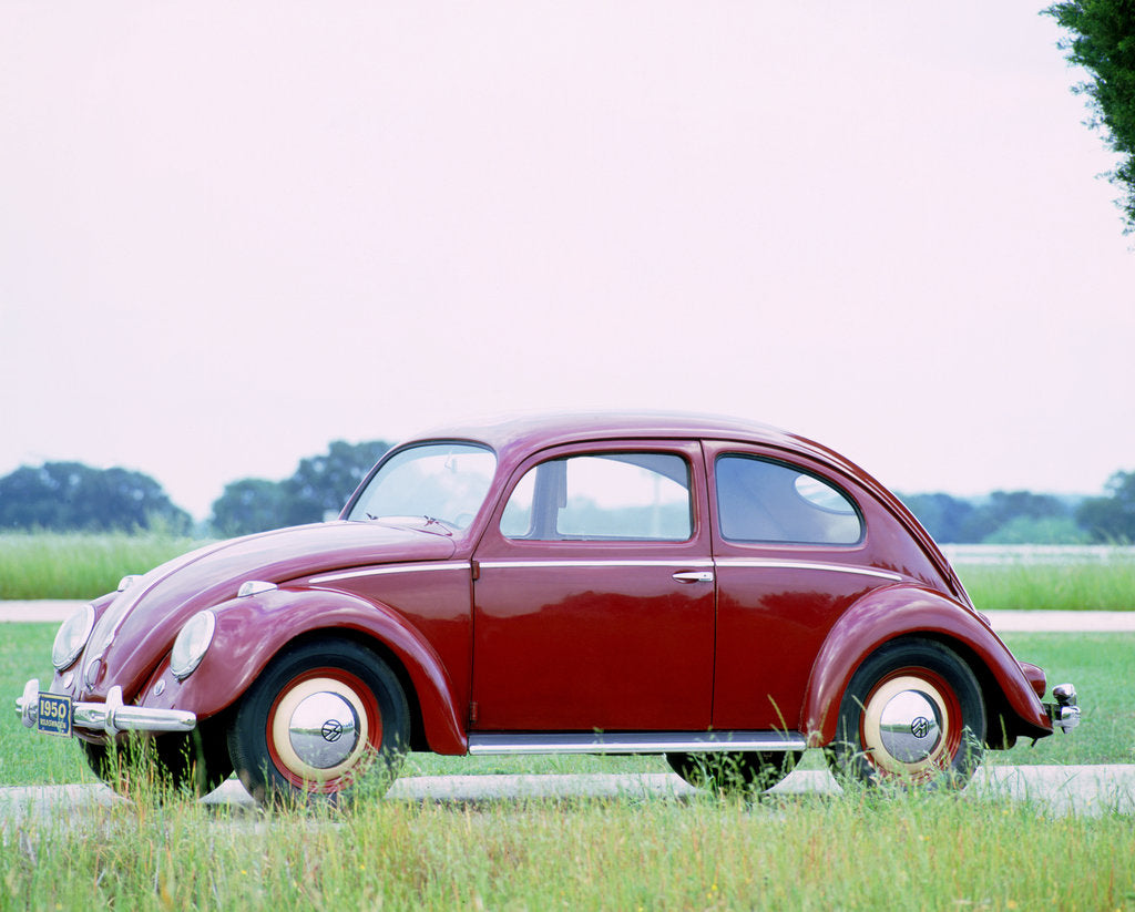 Detail of 1950 Volkswagen Beetle by Unknown