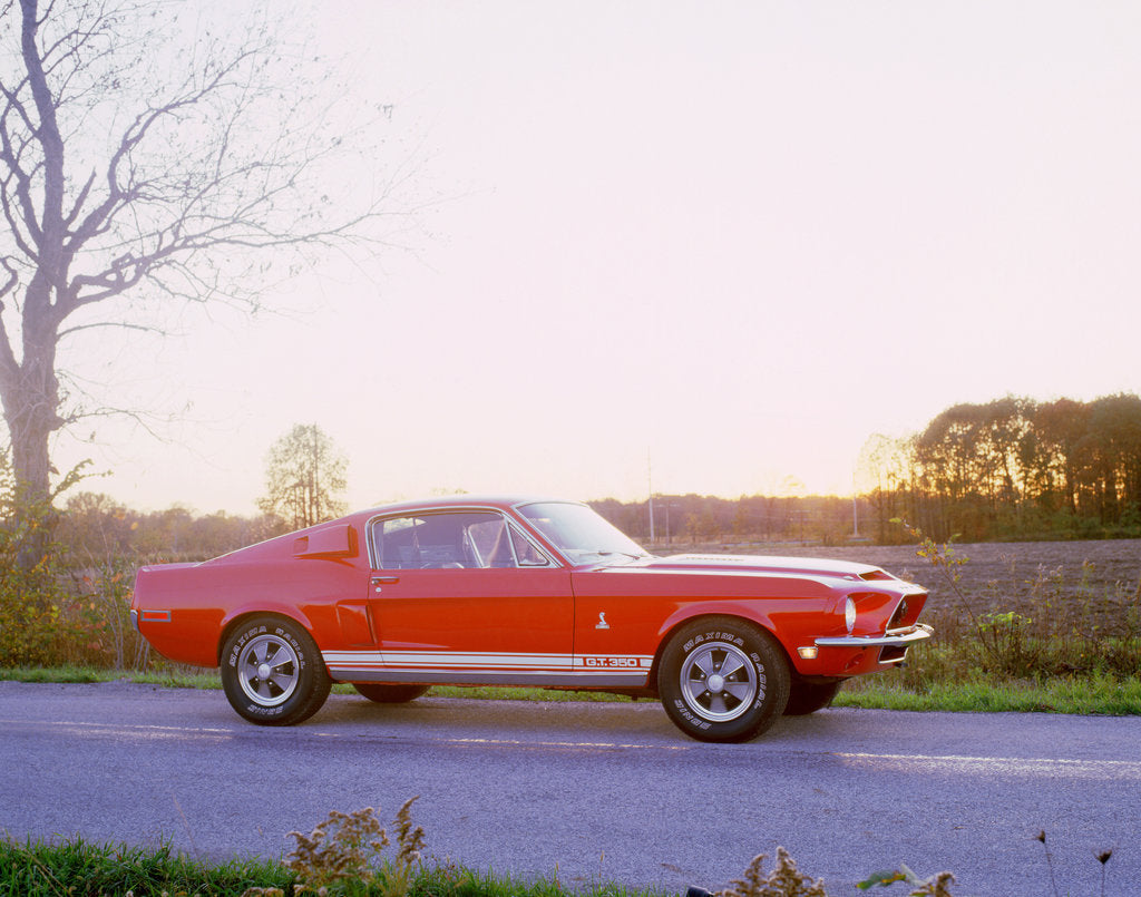 Detail of 1968 Ford mustang GT350 Shelby cobra by Unknown