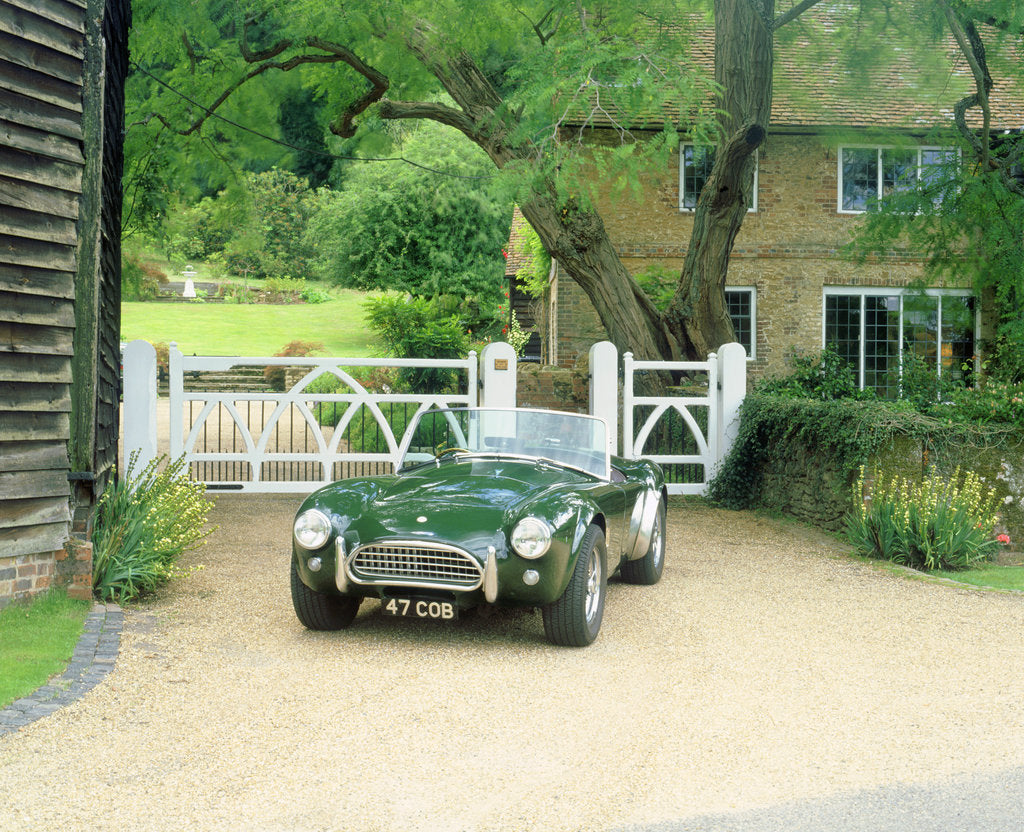 Detail of 1964 AC Cobra by Unknown