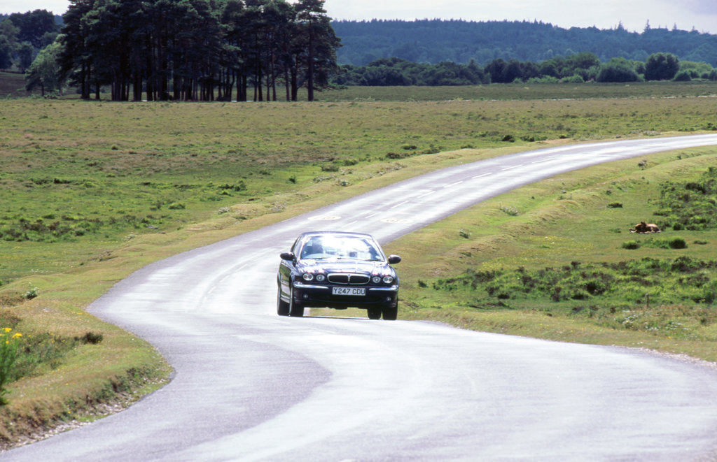 Detail of 2001 Jaguar X type 2.5 by Unknown