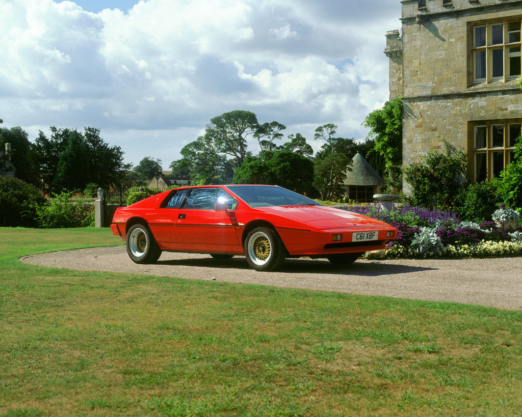Detail of 1985 Lotus Esprit by Unknown