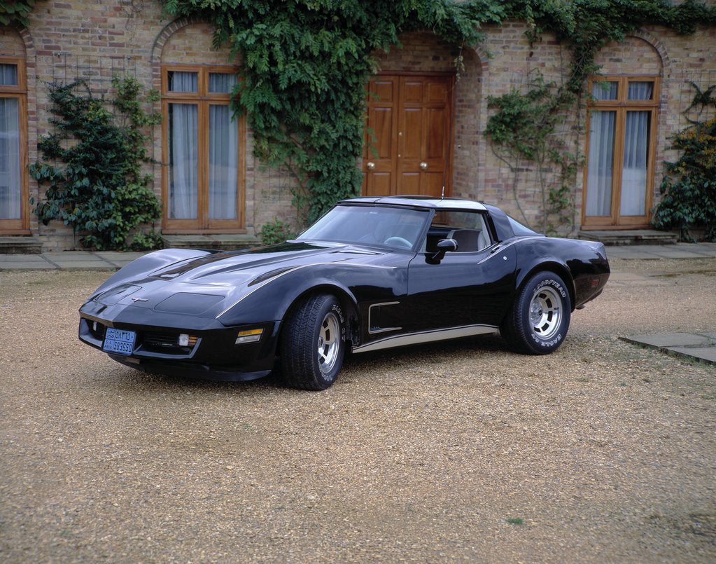 Detail of 1980 Chevrolet Corvette Stingray by Unknown