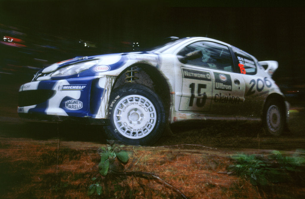 Detail of 1999 Peugeot 206 WRC Network Q Rally, Gronholm by Unknown