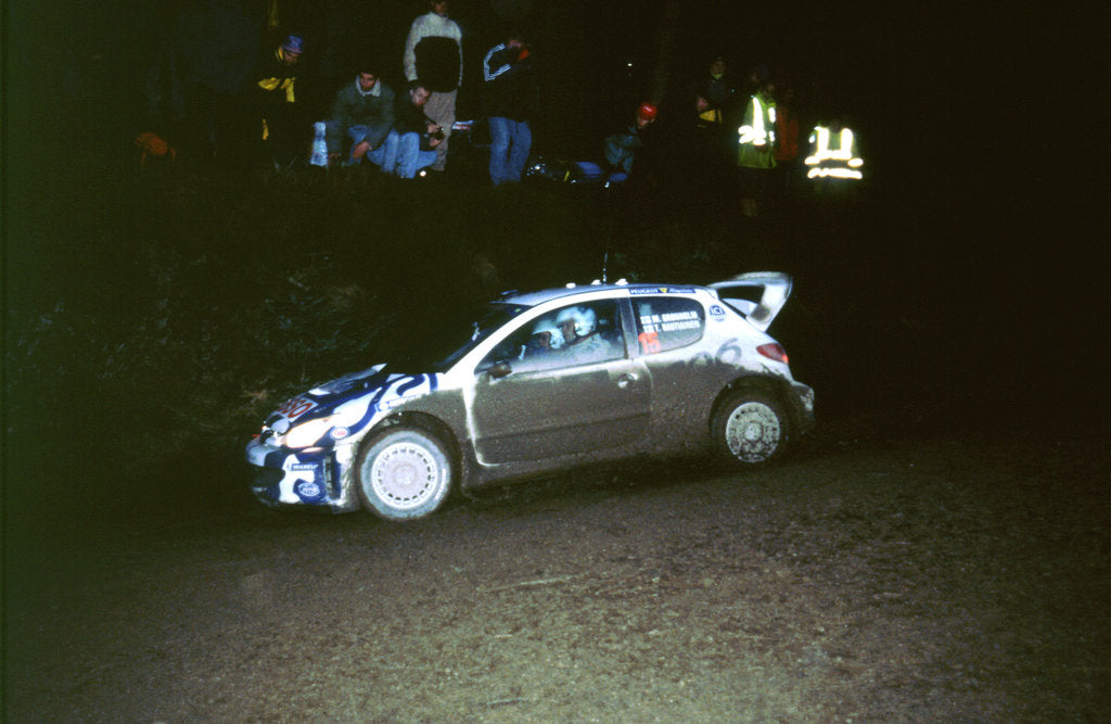 Detail of 1999 Peugeot 206 WRC Network Q Rally, Gronholm by Unknown