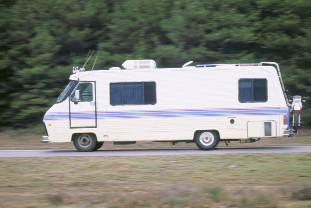 Detail of American Camper by Unknown