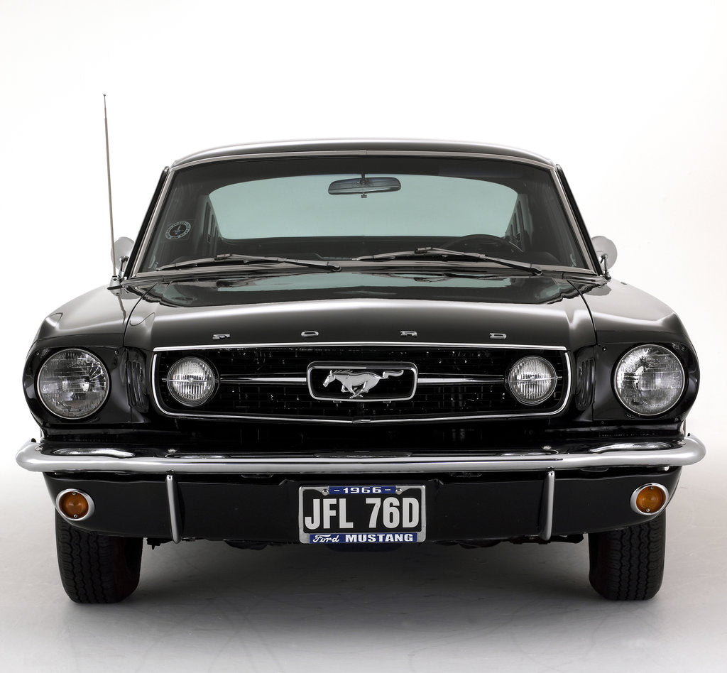 Detail of 1966 Ford Mustang 289 GT by Unknown