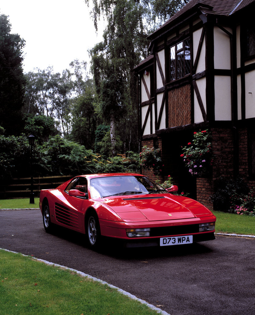 Detail of 1987 Ferrari Testarossa by Unknown