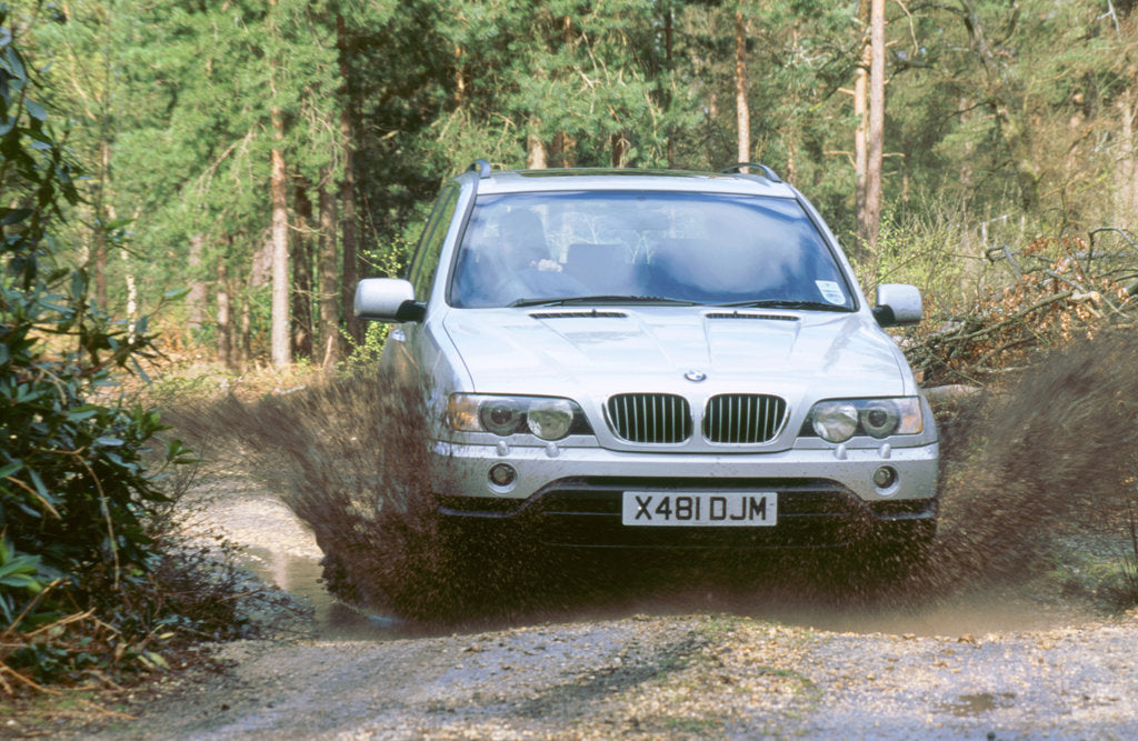 Detail of 2001 BMW X5 4.4i by Unknown