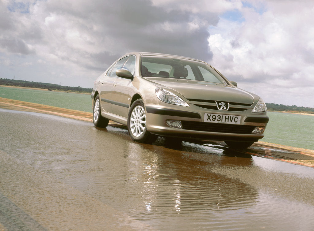 Detail of 2001 Peugeot 607 by Unknown
