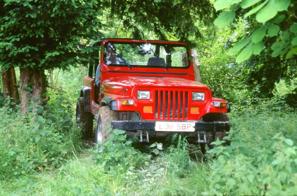 Detail of 1993 Jeep Wrangler by Unknown