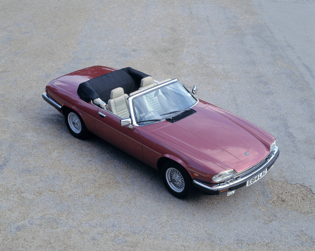 Detail of 1988 Jaguar XJS V12 convertible by Unknown