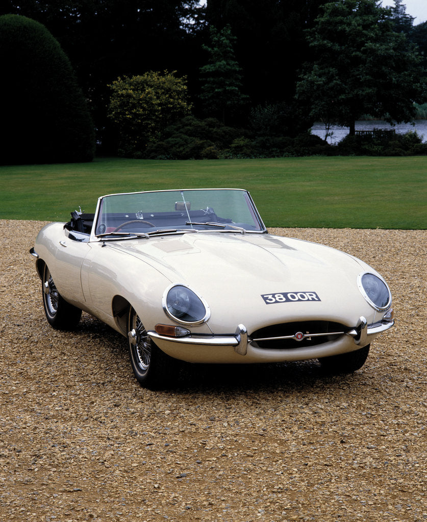 Detail of 1962 Jaguar E type by Unknown