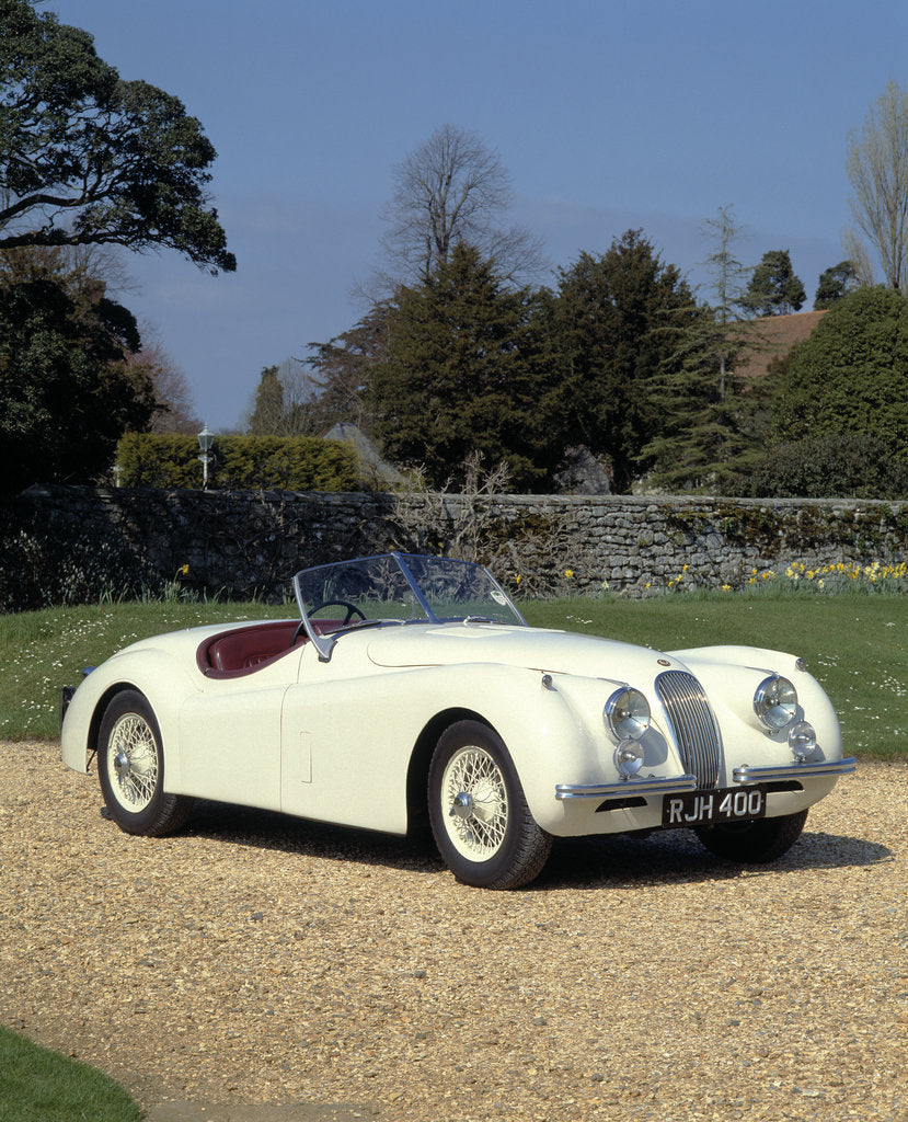 Detail of 1954 Jaguar by Unknown