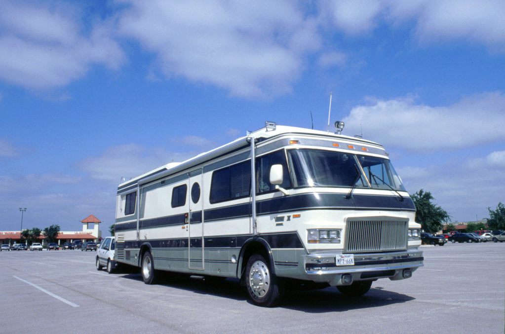 Detail of American Camper by Unknown