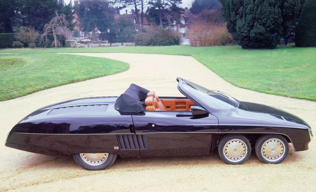 Detail of 1978 Panther 6 by Unknown