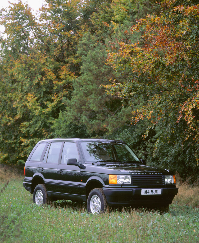 Detail of 1996 Range Rover SE by Unknown