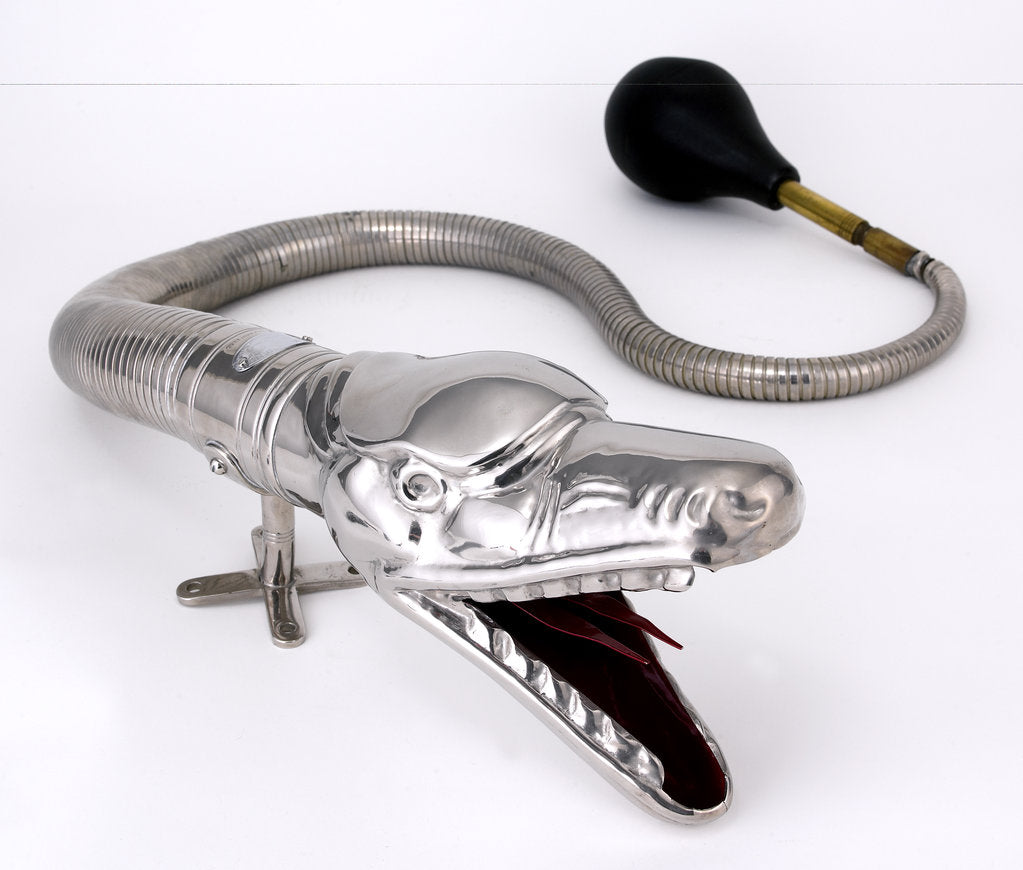 Detail of Boa Horn by Unknown